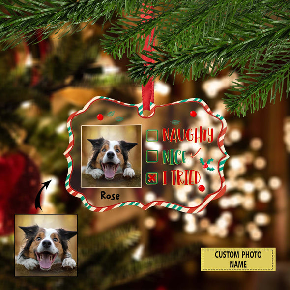 Personalized Gift For Pet Lovers,  Naughty, Nice, I Tried - Personalized Custom Ornament LHT-LTT231122