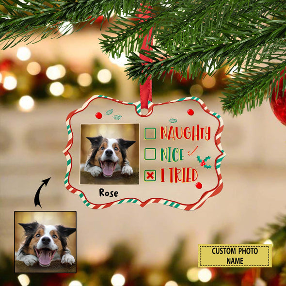 Personalized Gift For Pet Lovers,  Naughty, Nice, I Tried - Personalized Custom Ornament LHT-LTT231122