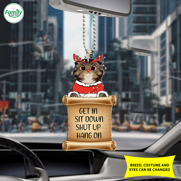 Cat Car Ornament - Nt - NN0410217
