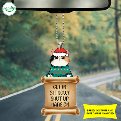 Cat Car Ornament - Nt - NN0410217