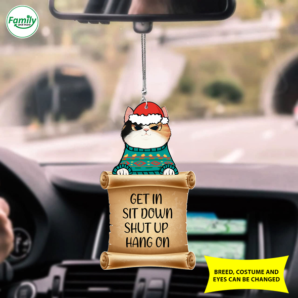 Cat Car Ornament - Nt - NN0410217