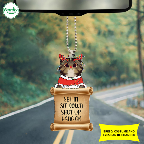 Cat Car Ornament - Nt - NN0410217