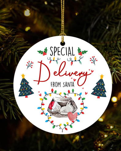 Gift For Future Daddy And Mommy Special Delivery From Santa Ornament - MC - TT2411217 1