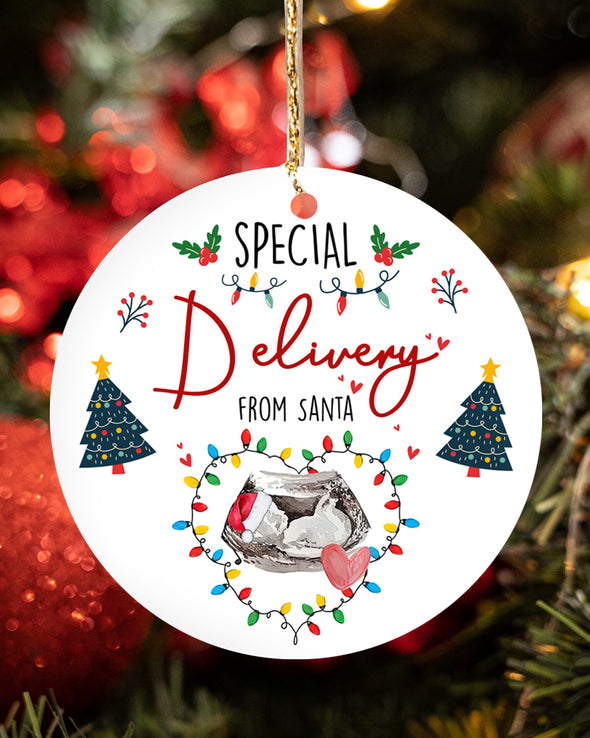 Gift For Future Daddy And Mommy Special Delivery From Santa Ornament - MC - TT2411217 1
